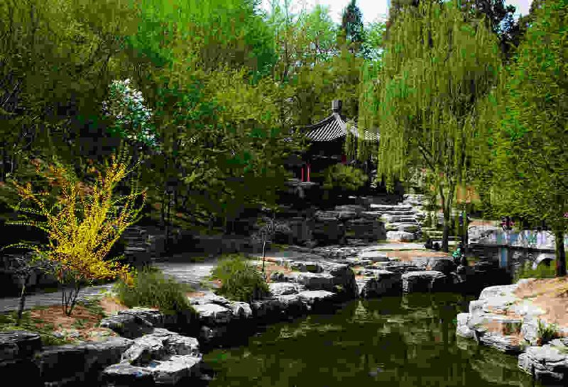 上海建筑设计公司的未来之路：机遇与挑战并存